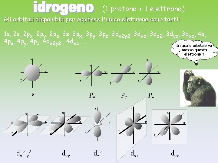 (1 protone + 1 elettrone) Gli orbitali disponibili per ospitare l'unico elettrone sono tanti: