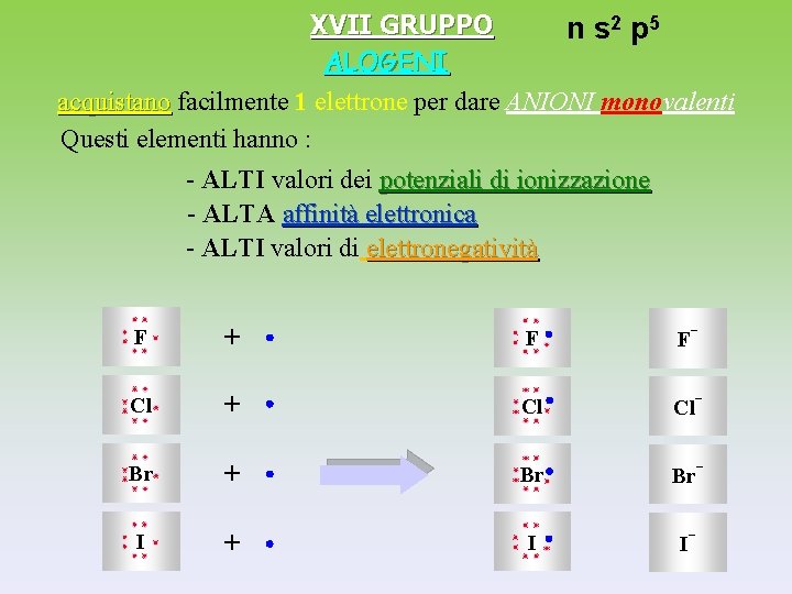 XVII GRUPPO n s 2 p 5 ALOGENI acquistano facilmente 1 elettrone per dare