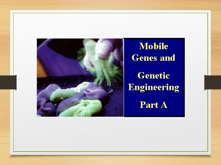 Mobile Genes and Genetic Engineering Part A 