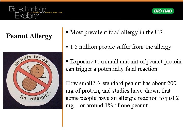 Peanut Allergy § Most prevalent food allergy in the US. § 1. 5 million