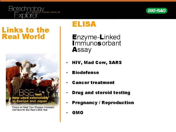 Links to the Real World ELISA Enzyme-Linked Immunosorbant Assay • HIV, Mad Cow, SARS