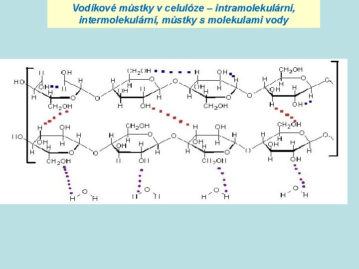 Vodíkové můstky v celulóze – intramolekulární, intermolekulární, můstky s molekulami vody 