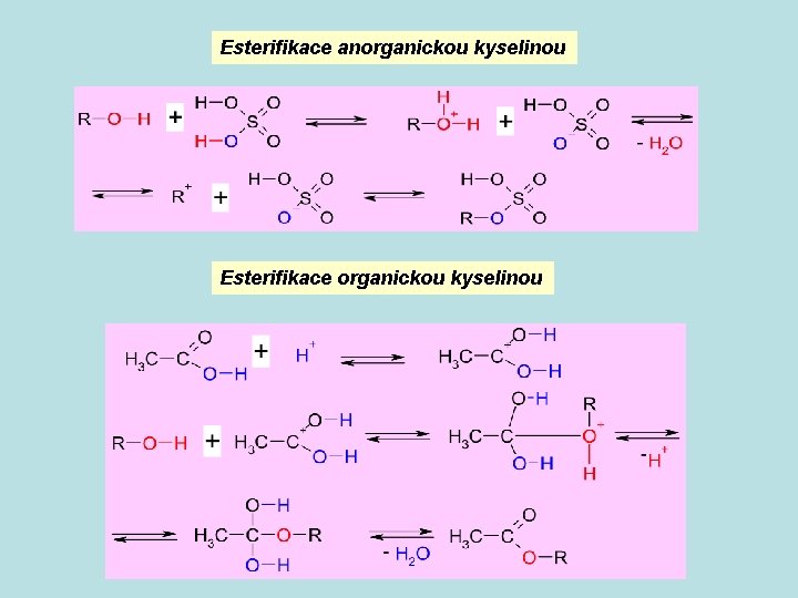 Esterifikace anorganickou kyselinou Esterifikace organickou kyselinou 