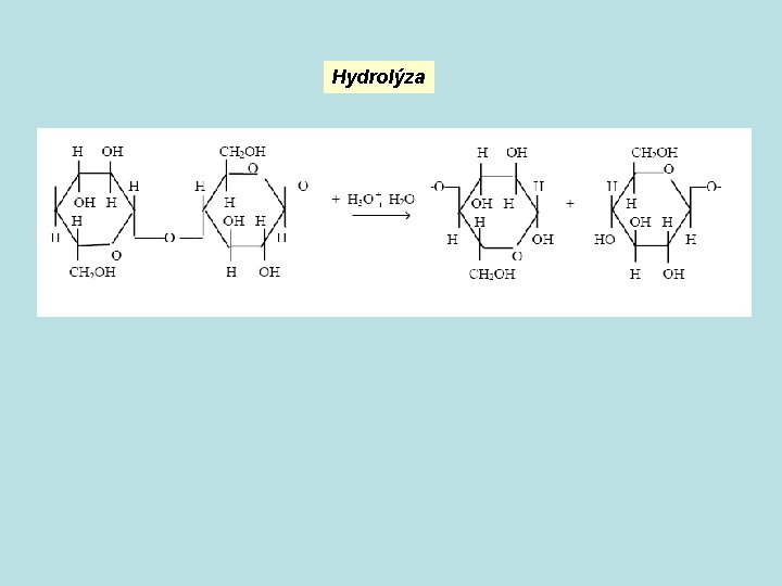Hydrolýza 