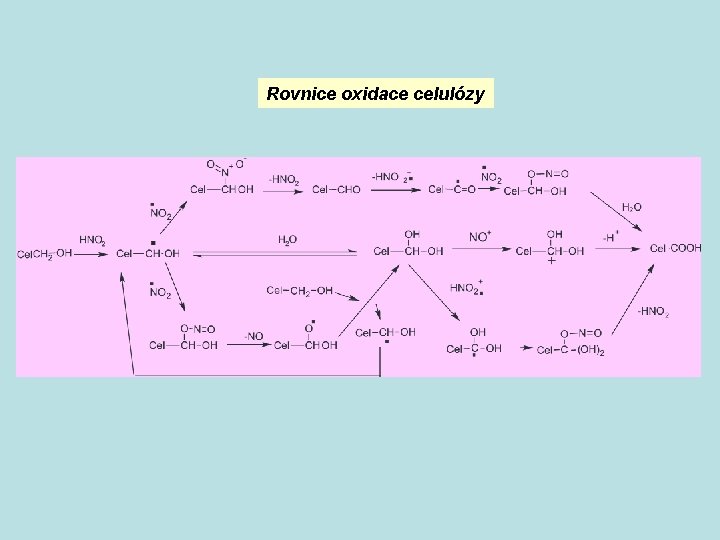 Rovnice oxidace celulózy 