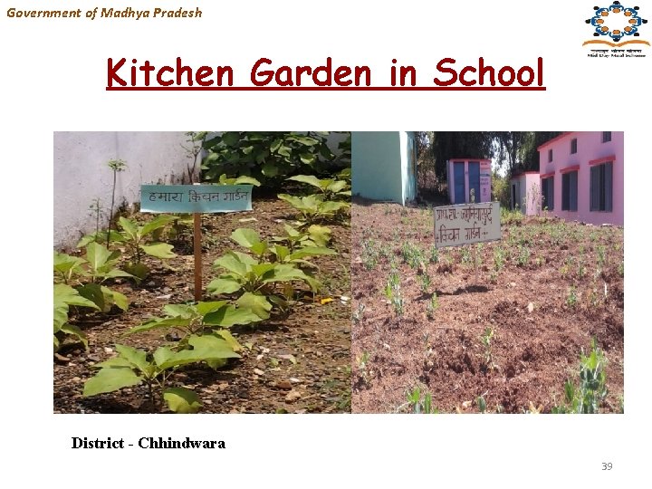 Government of Madhya Pradesh Kitchen Garden in School District - Chhindwara 39 
