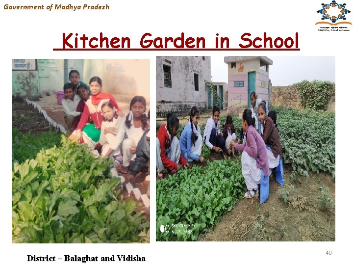 Government of Madhya Pradesh Kitchen Garden in School District – Balaghat and Vidisha 40