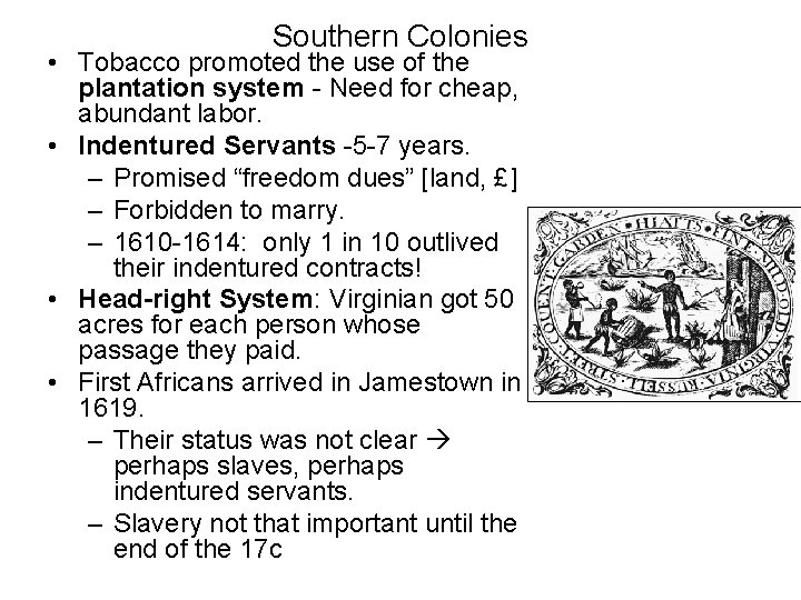Southern Colonies • Tobacco promoted the use of the plantation system - Need for