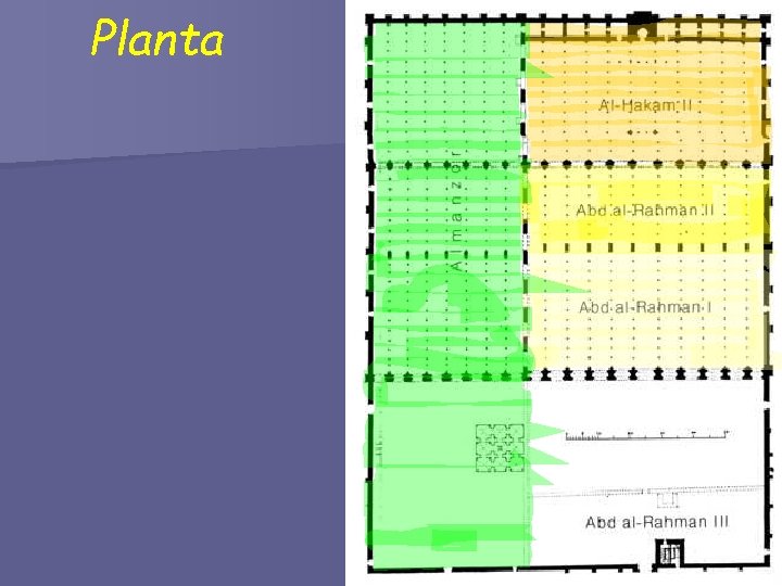 Planta 