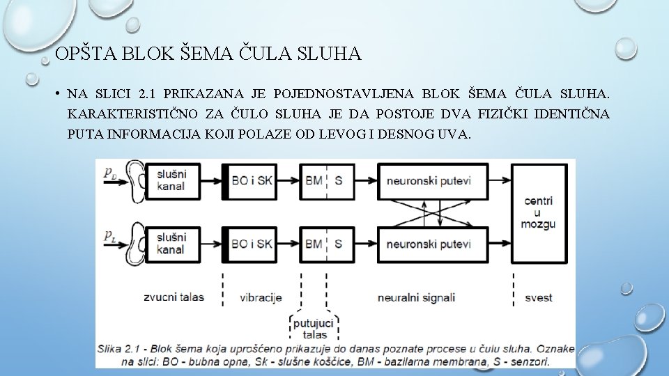 OPŠTA BLOK ŠEMA ČULA SLUHA • NA SLICI 2. 1 PRIKAZANA JE POJEDNOSTAVLJENA BLOK