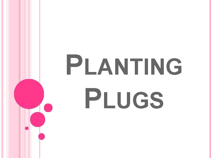 PLANTING PLUGS 