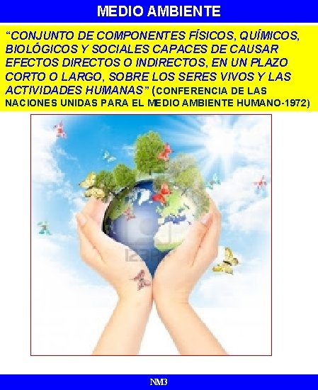 MEDIO AMBIENTE “CONJUNTO DE COMPONENTES FÍSICOS, QUÍMICOS, BIOLÓGICOS Y SOCIALES CAPACES DE CAUSAR EFECTOS