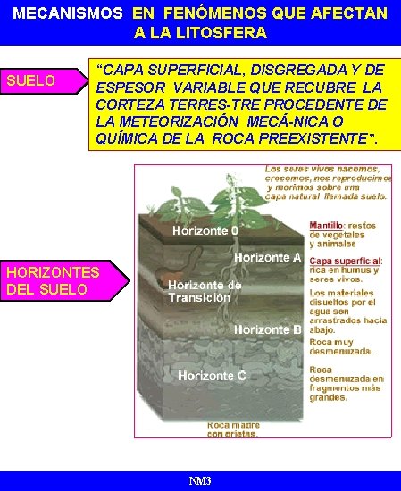 MECANISMOS EN FENÓMENOS QUE AFECTAN ATMÓSFERA A LA LITOSFERA SUELO “CAPA SUPERFICIAL, DISGREGADA Y