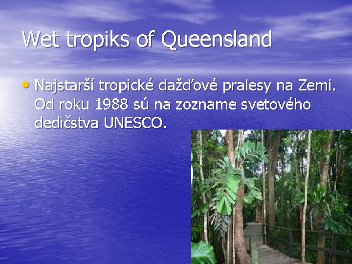 Wet tropiks of Queensland • Najstarší tropické dažďové pralesy na Zemi. Od roku 1988