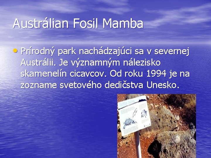 Austrálian Fosil Mamba • Prírodný park nachádzajúci sa v severnej Austrálii. Je významným nálezisko