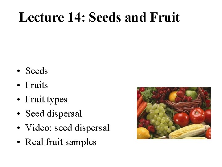 Lecture 14: Seeds and Fruit • • • Seeds Fruit types Seed dispersal Video: