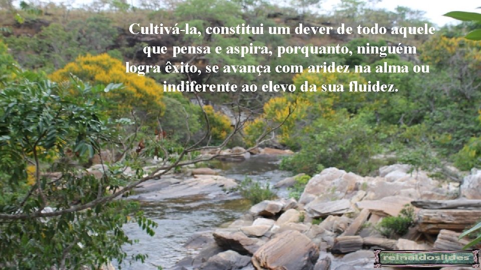 Cultivá-la, constitui um dever de todo aquele que pensa e aspira, porquanto, ninguém logra