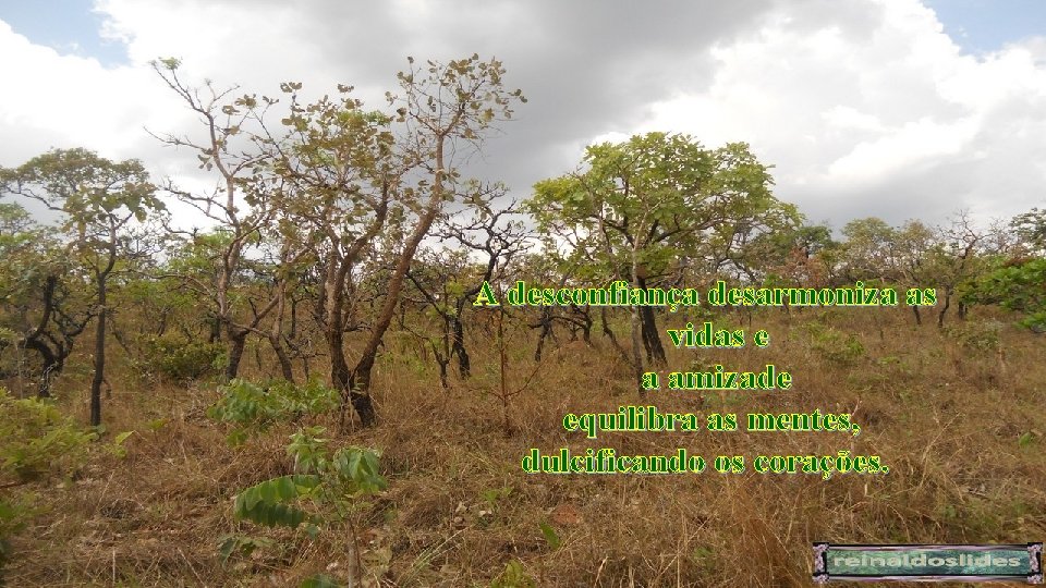 A desconfiança desarmoniza as vidas e a amizade equilibra as mentes, dulcificando os corações.