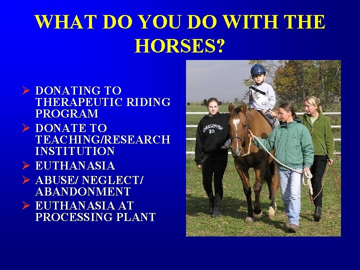 WHAT DO YOU DO WITH THE HORSES? Ø DONATING TO THERAPEUTIC RIDING PROGRAM Ø WHAT DO YOU DO WITH THE HORSES? Ø DONATING TO THERAPEUTIC RIDING PROGRAM Ø