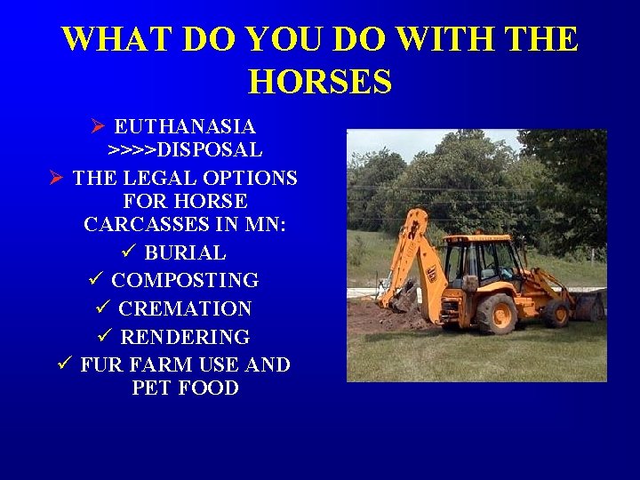 WHAT DO YOU DO WITH THE HORSES Ø EUTHANASIA >>>>DISPOSAL Ø THE LEGAL OPTIONS WHAT DO YOU DO WITH THE HORSES Ø EUTHANASIA >>>>DISPOSAL Ø THE LEGAL OPTIONS