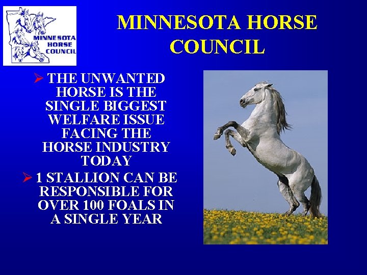 MINNESOTA HORSE COUNCIL Ø THE UNWANTED HORSE IS THE SINGLE BIGGEST WELFARE ISSUE FACING MINNESOTA HORSE COUNCIL Ø THE UNWANTED HORSE IS THE SINGLE BIGGEST WELFARE ISSUE FACING