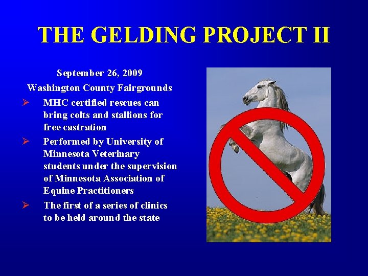 THE GELDING PROJECT II September 26, 2009 Washington County Fairgrounds Ø MHC certified rescues THE GELDING PROJECT II September 26, 2009 Washington County Fairgrounds Ø MHC certified rescues
