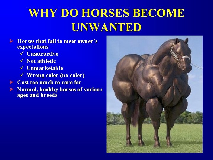 WHY DO HORSES BECOME UNWANTED Ø Horses that fail to meet owner’s expectations ü WHY DO HORSES BECOME UNWANTED Ø Horses that fail to meet owner’s expectations ü