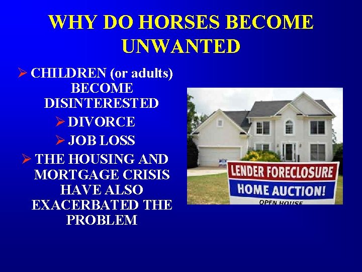 WHY DO HORSES BECOME UNWANTED Ø CHILDREN (or adults) BECOME DISINTERESTED Ø DIVORCE Ø WHY DO HORSES BECOME UNWANTED Ø CHILDREN (or adults) BECOME DISINTERESTED Ø DIVORCE Ø