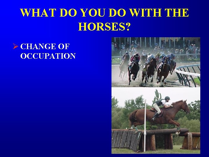 WHAT DO YOU DO WITH THE HORSES? Ø CHANGE OF OCCUPATION WHAT DO YOU DO WITH THE HORSES? Ø CHANGE OF OCCUPATION