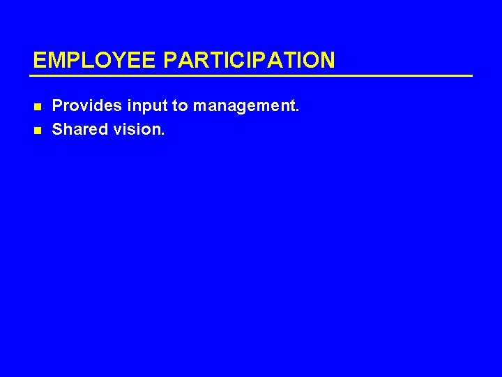 EMPLOYEE PARTICIPATION n n Provides input to management. Shared vision. 