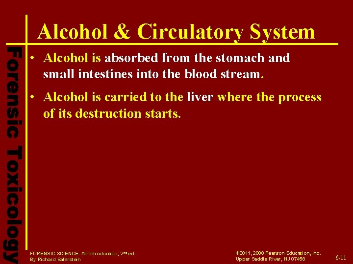 Alcohol & Circulatory System • Alcohol is absorbed from the stomach and small intestines