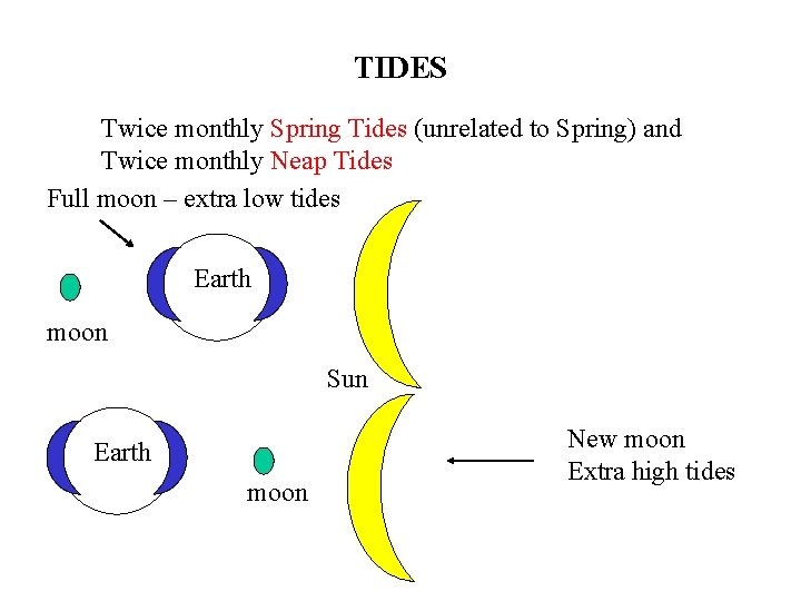 TIDES Twice monthly Spring Tides (unrelated to Spring) and Twice monthly Neap Tides Full