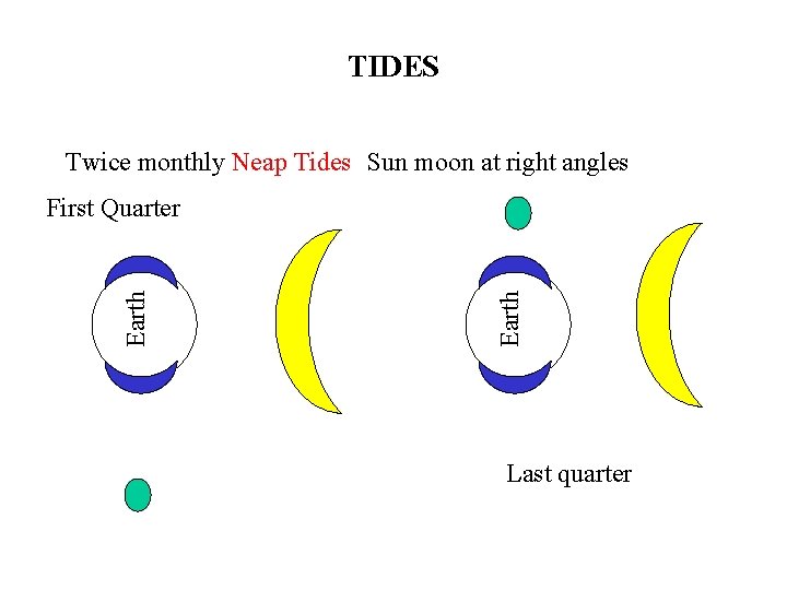 TIDES Twice monthly Neap Tides Sun moon at right angles Earth First Quarter Last