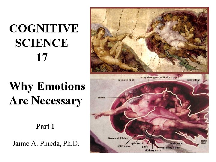 COGNITIVE SCIENCE 17 Why Emotions Are Necessary Part 1 Jaime A. Pineda, Ph. D. COGNITIVE SCIENCE 17 Why Emotions Are Necessary Part 1 Jaime A. Pineda, Ph. D.