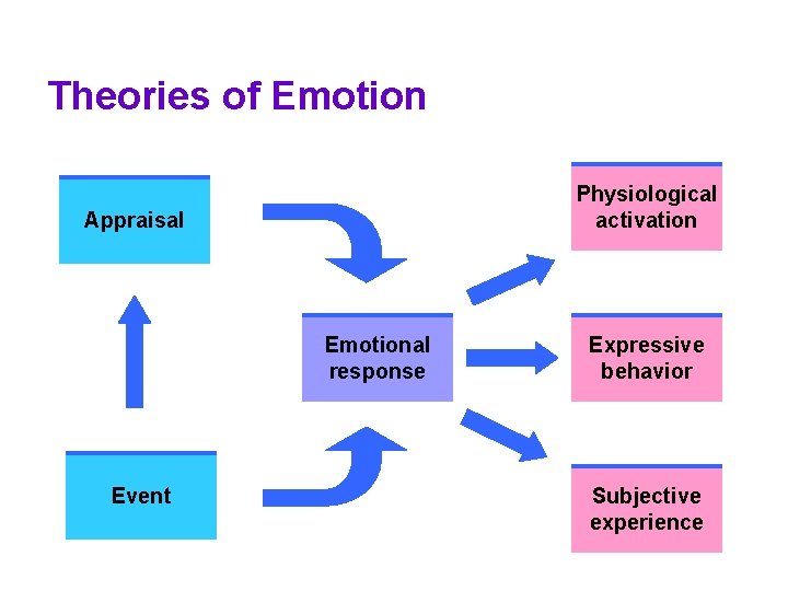 Theories of Emotion Physiological activation Appraisal Emotional response Event Expressive behavior Subjective experience Theories of Emotion Physiological activation Appraisal Emotional response Event Expressive behavior Subjective experience