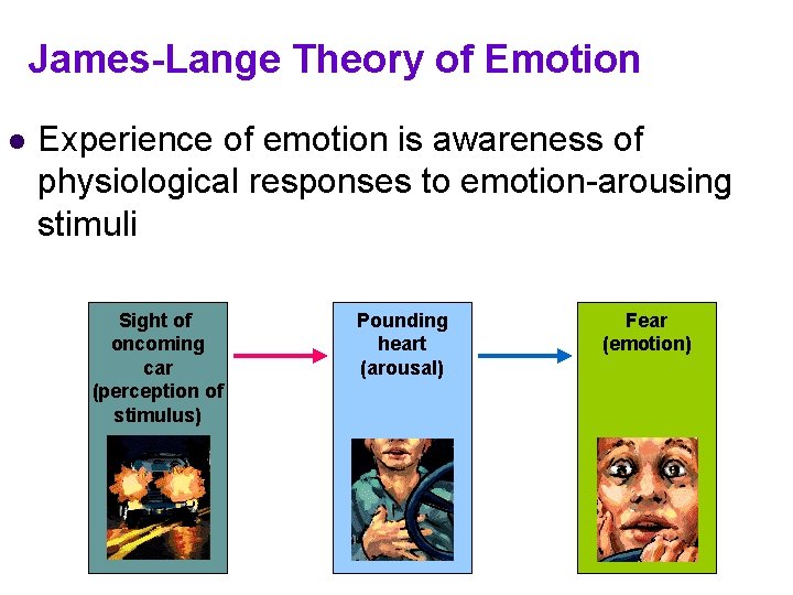 James-Lange Theory of Emotion l Experience of emotion is awareness of physiological responses to James-Lange Theory of Emotion l Experience of emotion is awareness of physiological responses to