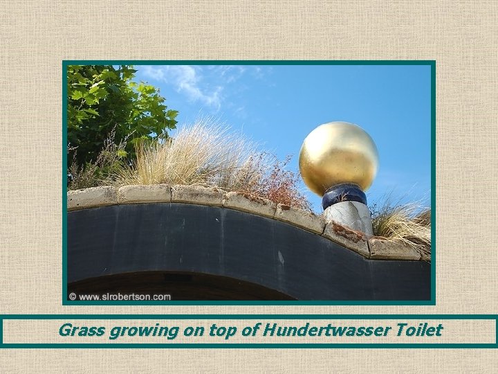 Grass growing on top of Hundertwasser Toilet 