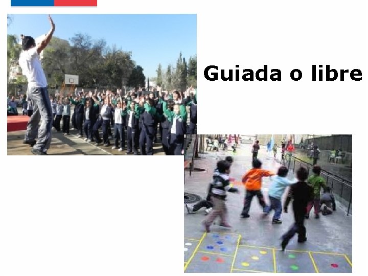 Guiada o libre 