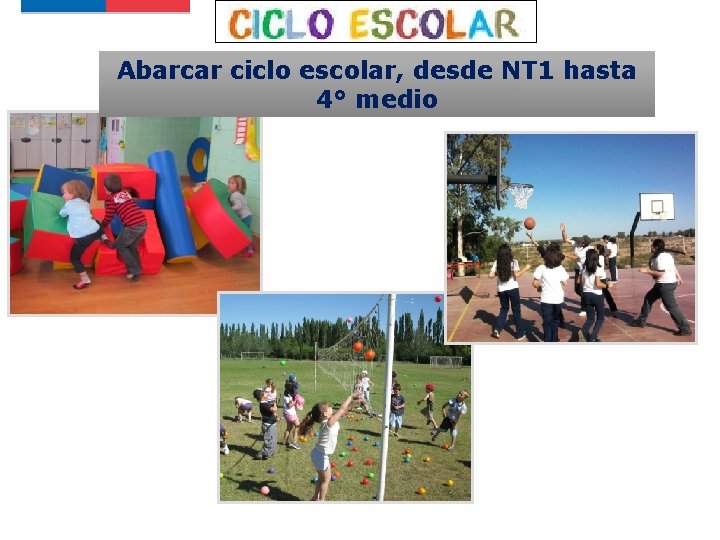Abarcar ciclo escolar, desde NT 1 hasta 4° medio 
