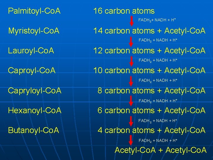 Palmitoyl-Co. A 16 carbon atoms FADH 2+ NADH + H+ Myristoyl-Co. A 14 carbon