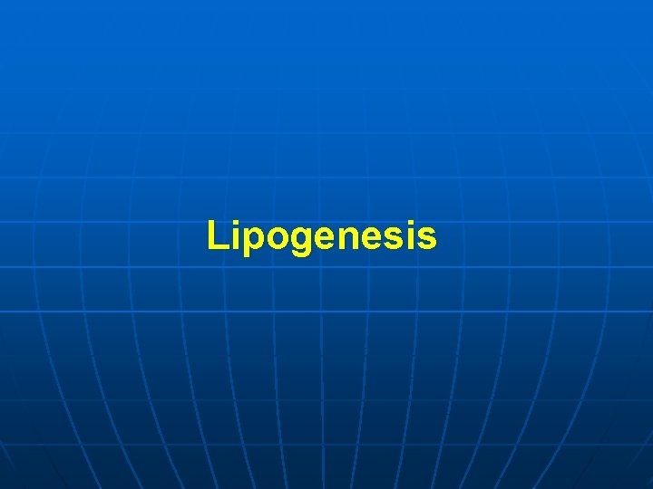 Lipogenesis 