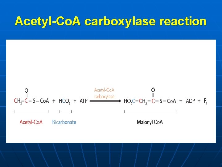 Acetyl-Co. A carboxylase reaction 