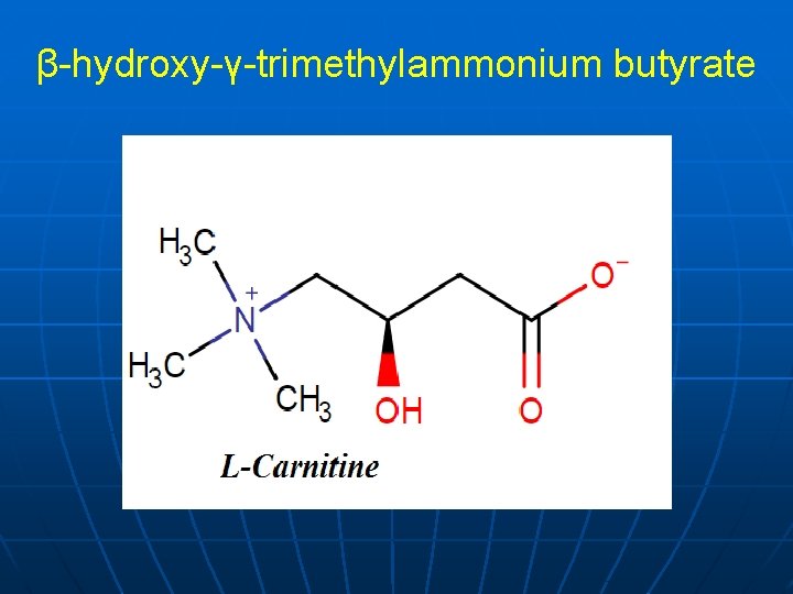 β-hydroxy-γ-trimethylammonium butyrate 