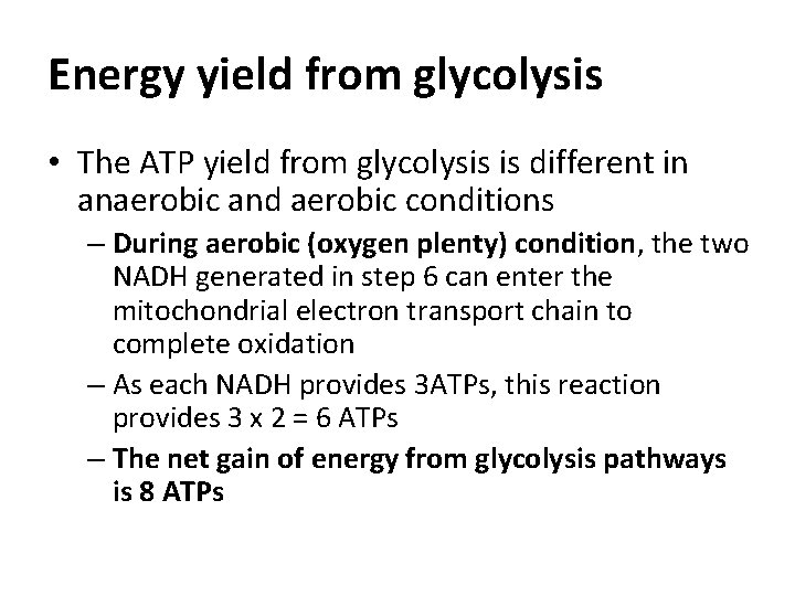 Energy yield from glycolysis • The ATP yield from glycolysis is different in anaerobic