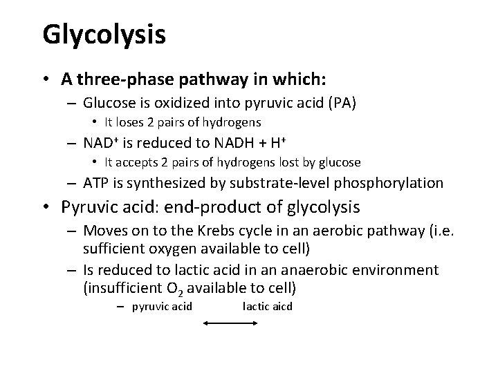 Glycolysis • A three-phase pathway in which: – Glucose is oxidized into pyruvic acid