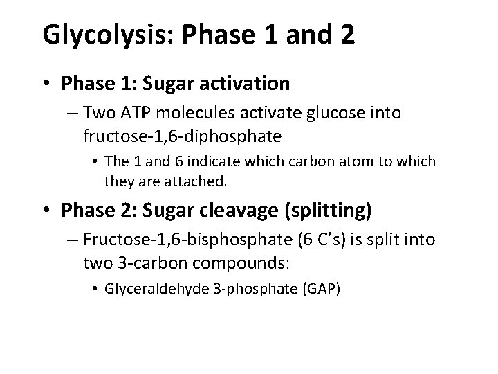 Glycolysis: Phase 1 and 2 • Phase 1: Sugar activation – Two ATP molecules