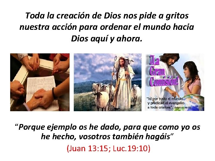 Toda la creación de Dios nos pide a gritos nuestra acción para ordenar el