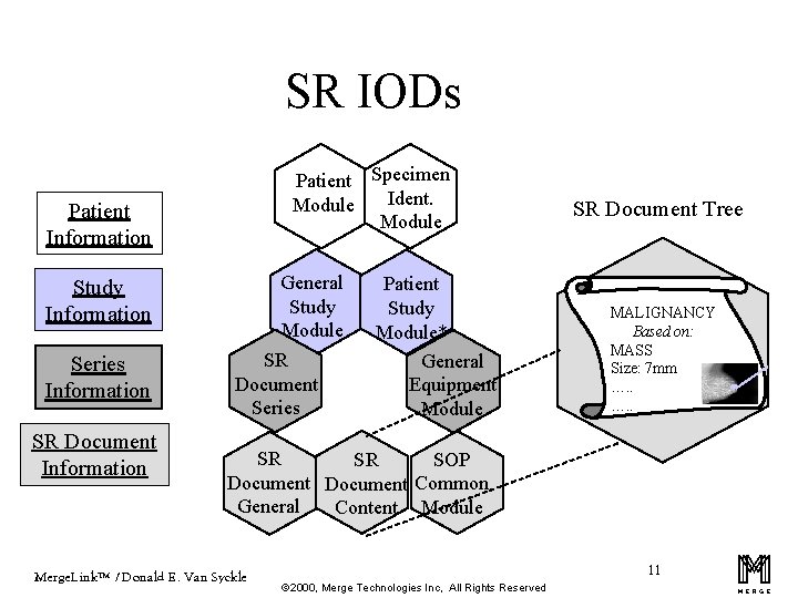 SR IODs Patient Specimen Ident. Module Patient Information Study Information Series Information SR Document