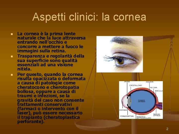 Aspetti clinici: la cornea n n n La cornea è la prima lente naturale