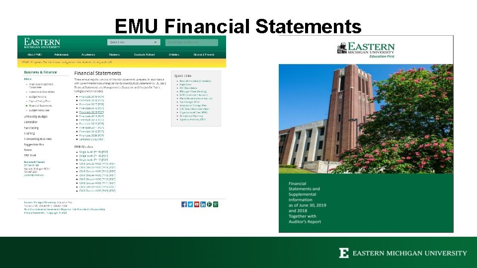 EMU Financial Statements 